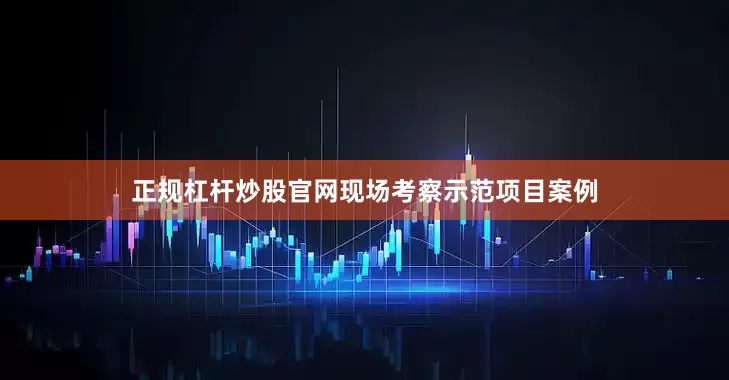 正规杠杆炒股官网现场考察示范项目案例