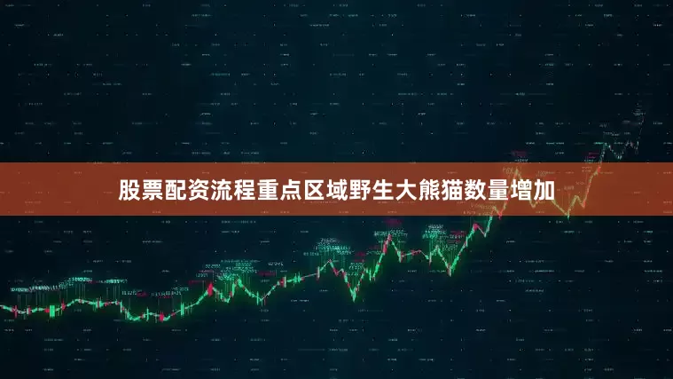 股票配资流程重点区域野生大熊猫数量增加