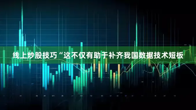 线上炒股技巧“这不仅有助于补齐我国数据技术短板