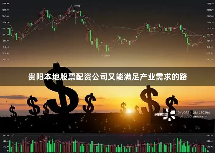 贵阳本地股票配资公司又能满足产业需求的路